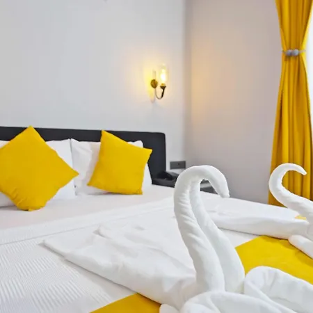 酒店 亚塞明酒店 3*