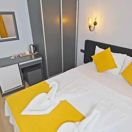 亚塞明酒店 酒店 费特希耶