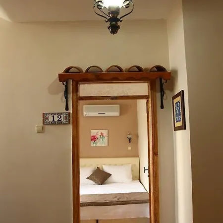 亚塞明酒店 费特希耶