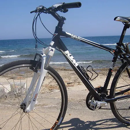 酒店 亚塞明酒店 费特希耶