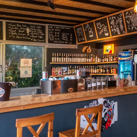 亚塞明酒店 费特希耶