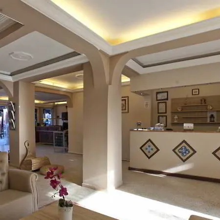 亚塞明酒店 酒店 3*