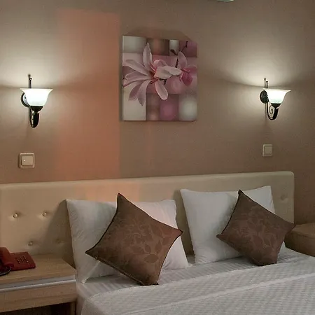 酒店 亚塞明酒店